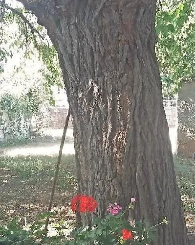 Apartament House Dubravka 1946 Pula