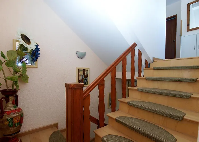 House Dubravka 1946 Апартаменти